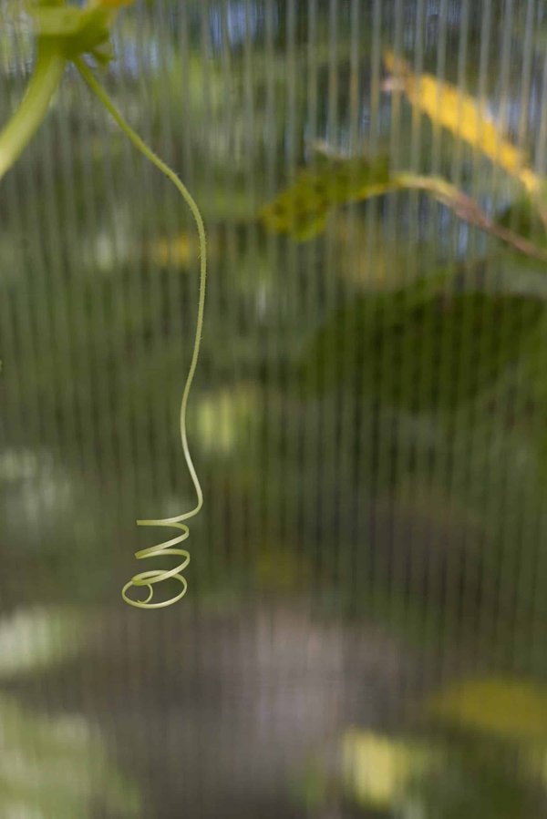 Kann die Anpassung von Immobilien an die Bedürfnisse von Home-Office-Arbeitnehmern deren Mietwert steigern?